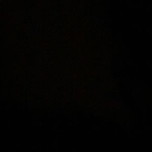 Meet your Posher, Puneet